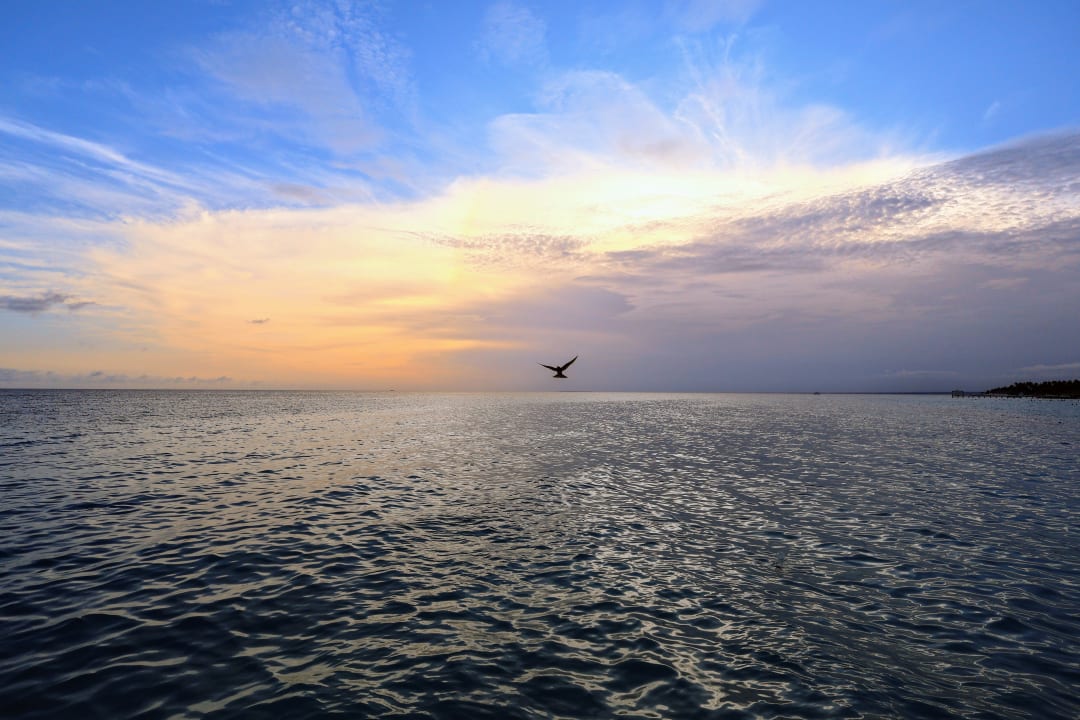 Strand Catalonia Royal La Romana - Adults only