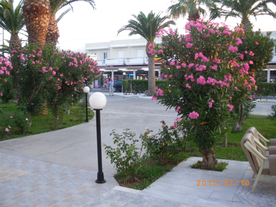 Eingang zu Hotel Hotel Tropical Sol