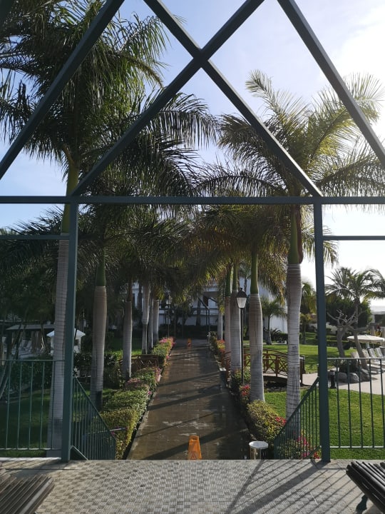 Gartenanlage Hotel Riu Palace Maspalomas Adults Only