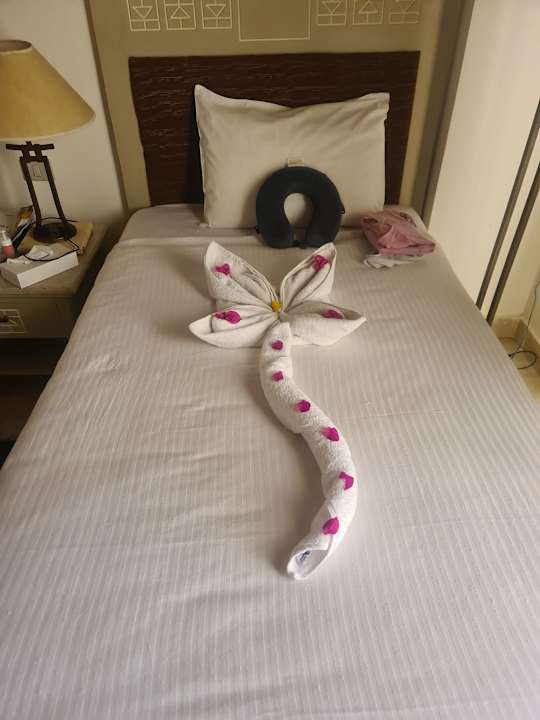 Zimmer Amarina Queen Resort Marsa Alam