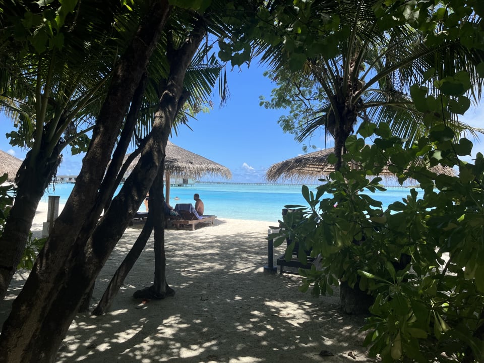 Strand Cinnamon Dhonveli Maldives
