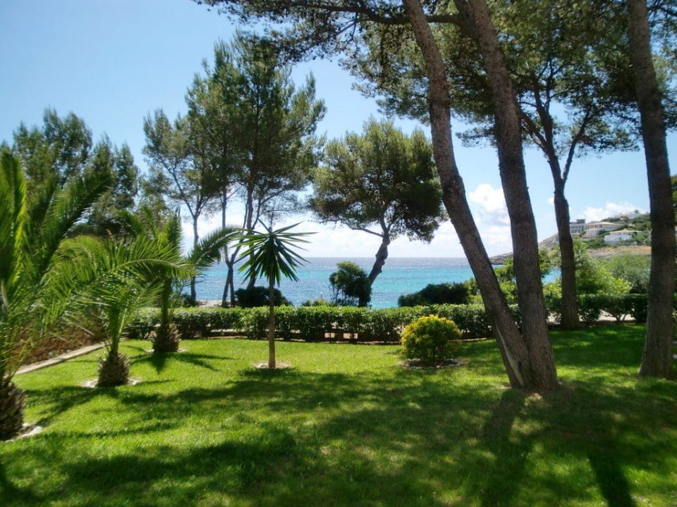 Gartenanlage im Bereich der Suiten Iberostar Waves Pinos Park