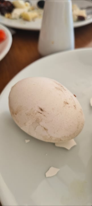 Gastro Hedef Beach Resort & Spa Hotel - All Inclusive