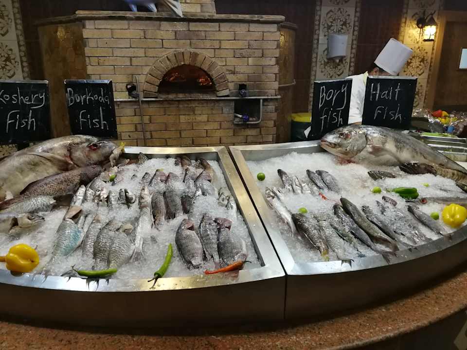 Gastro Pickalbatros Palace Resort