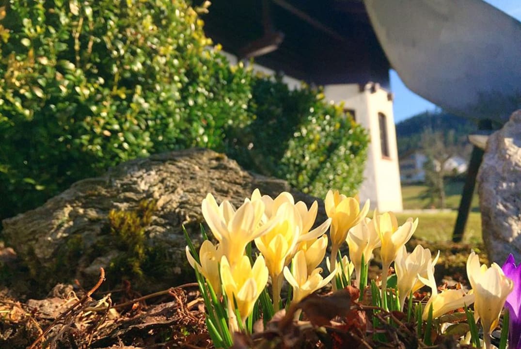 Gartenanlage Ferienwohnung Fritz Gabi Bodenmais