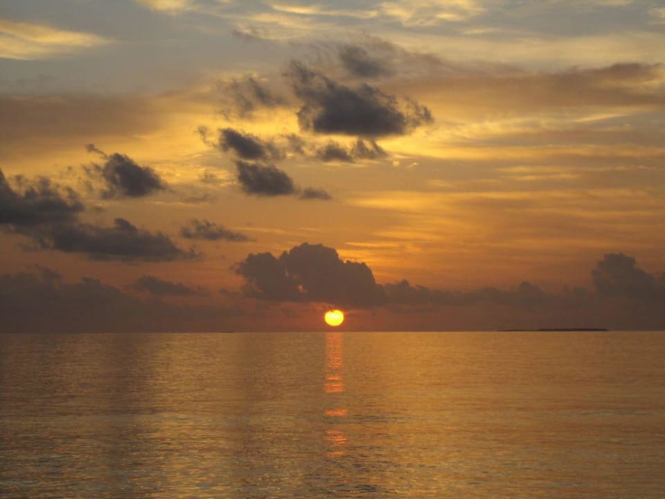 Jeden Abend das selbe NH Collection Maldives Reethi Resort