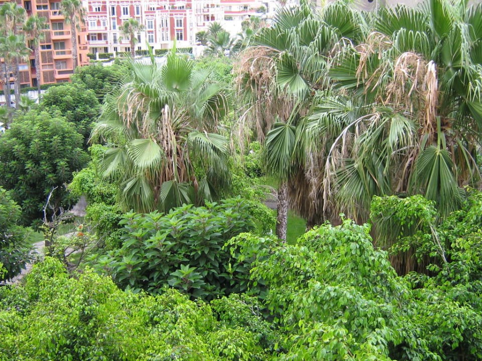 Park mit hässlichem Wohnsilo Be Smart Florida