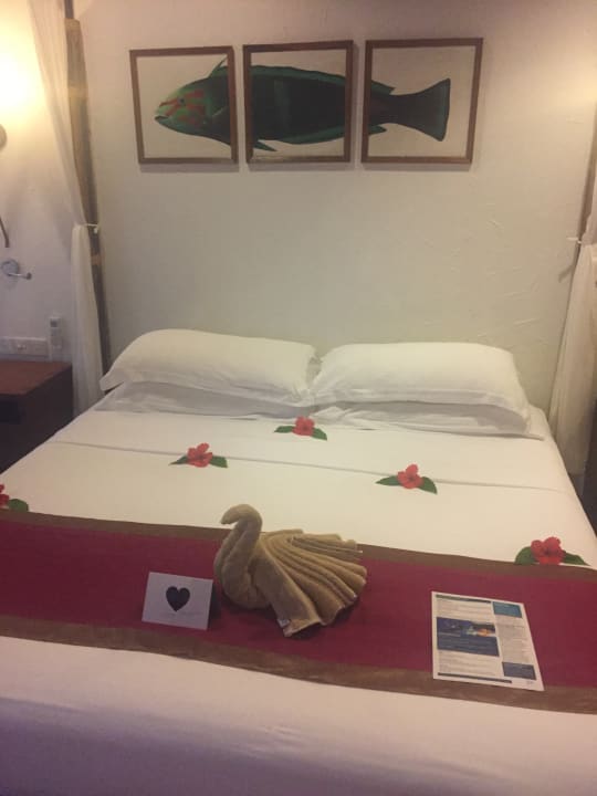 Zimmer Kuramathi Maldives