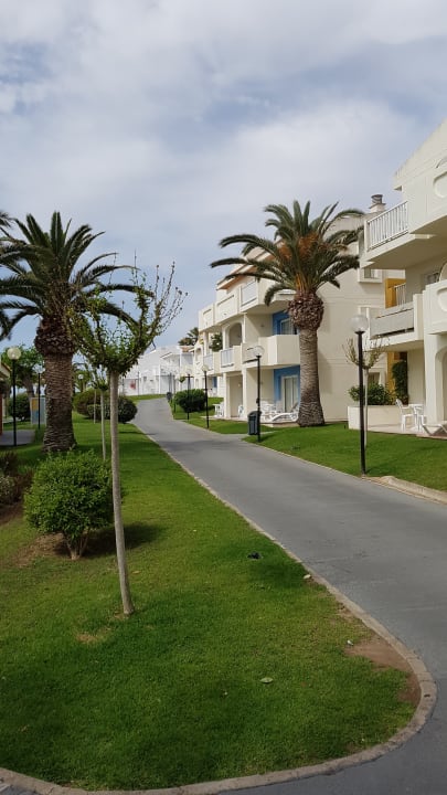 Gartenanlage blau punta reina