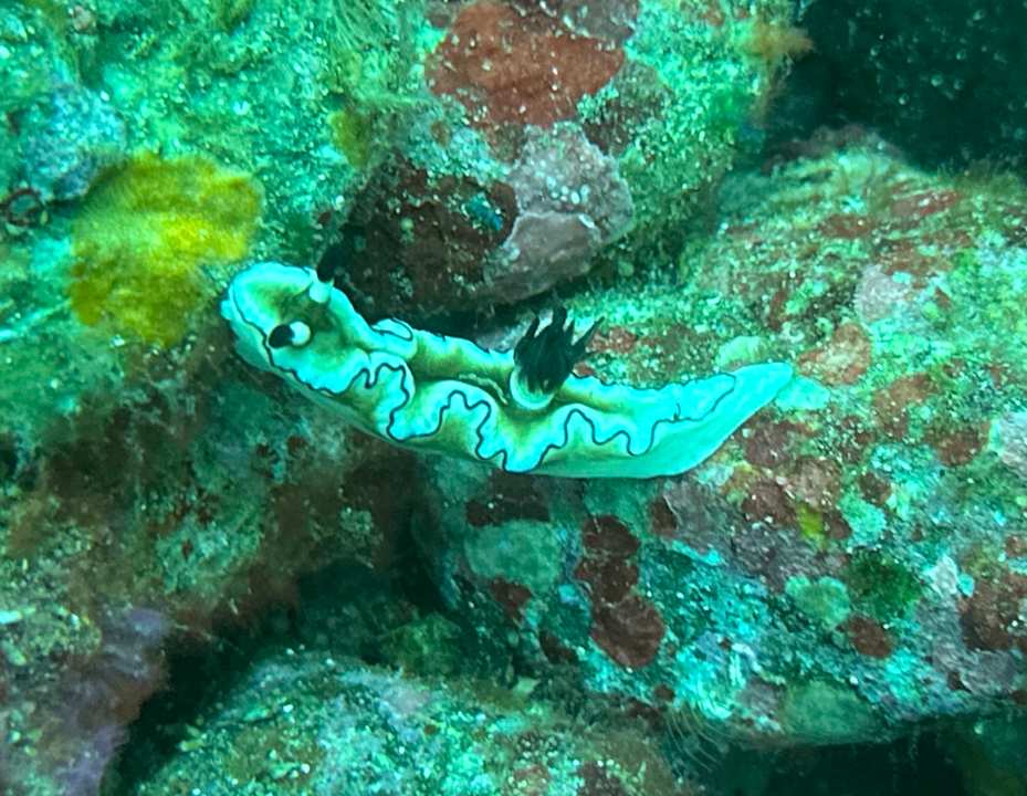 Sport & Freizeit Sali Bay Resort