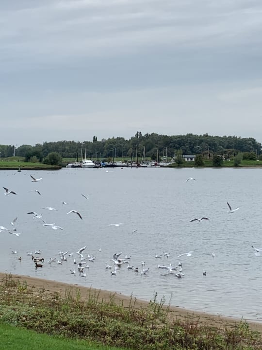 Ausblick Vakantiepark Eiland van Maurik