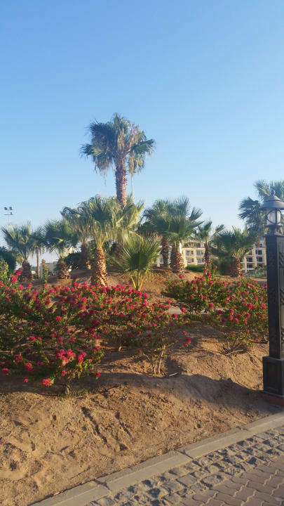 Gartenanlage Steigenberger Aqua Magic