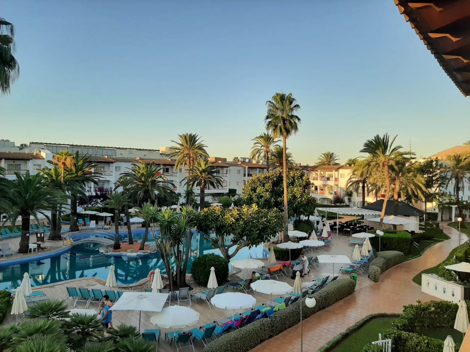 Pool Alcudia Garden Aparthotel