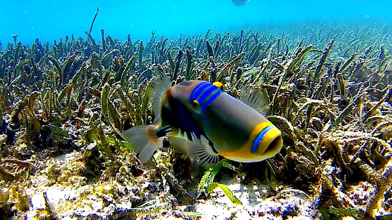 Sport & Freizeit Adaaran Select Hudhuran Fushi - Premium All Inclusive