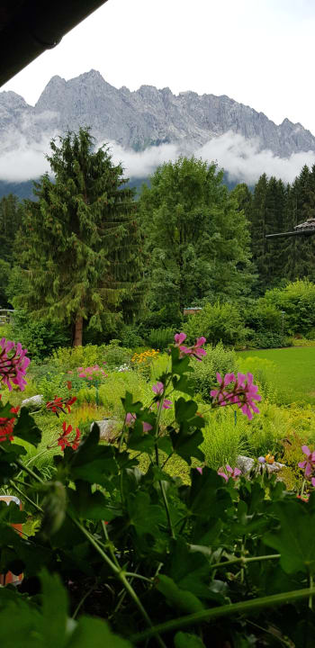 Ausblick Gästehaus Schönanger