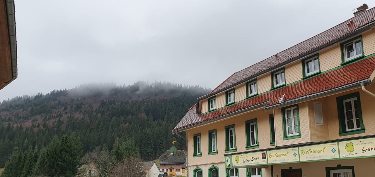 Außenansicht Naturparkhotel Grüner Baum
