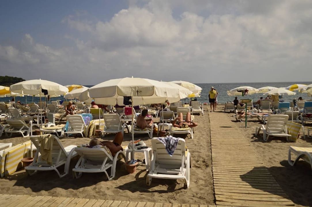 Hotelstrand Hotel Gardenia Beach