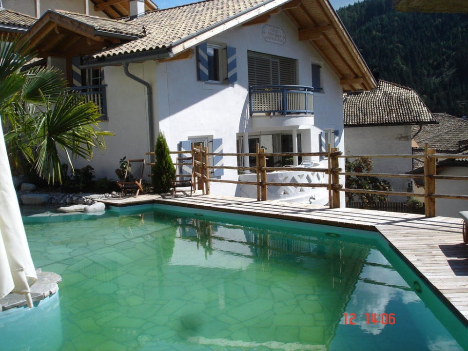 Pool Naturoase Stegerhof