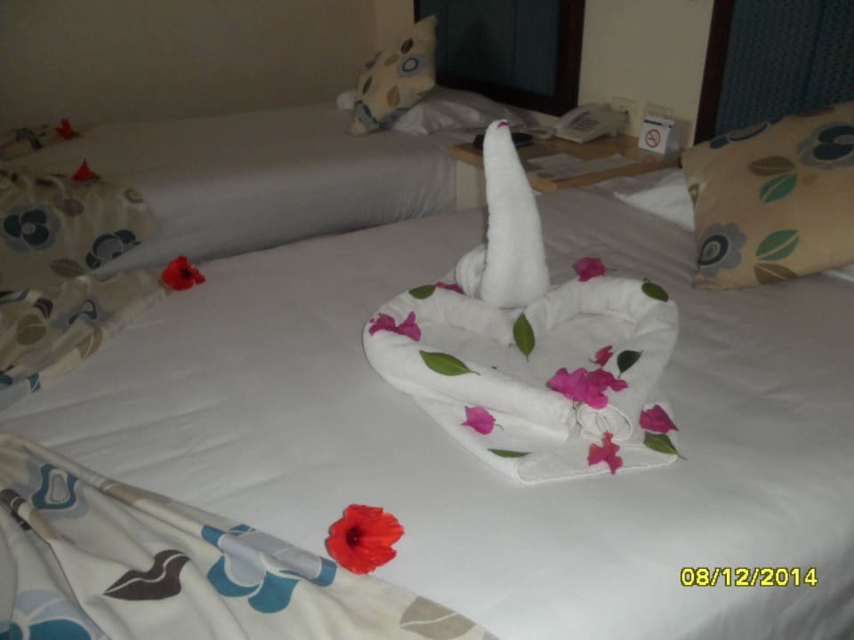 Подарок на день рождения Pickalbatros Citadel Resort