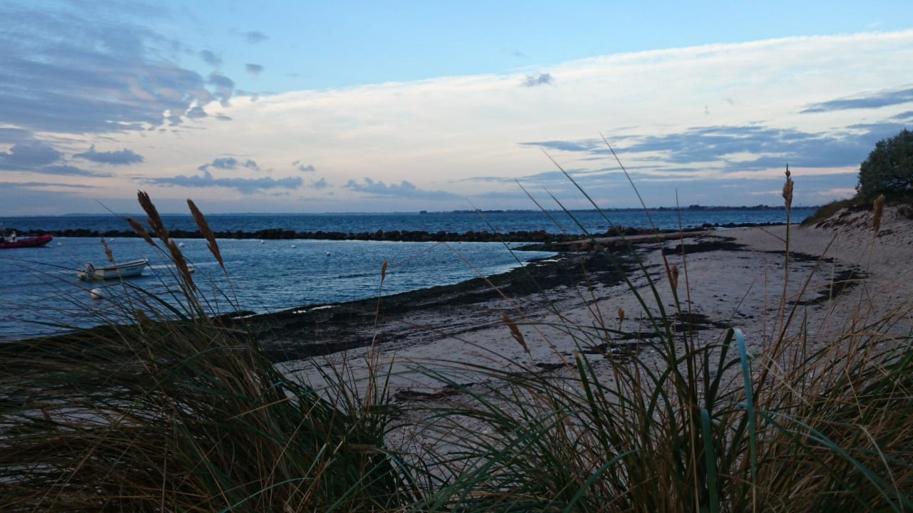 Strand am Campinggelände Camping- und Ferienpark Wulfener Hals