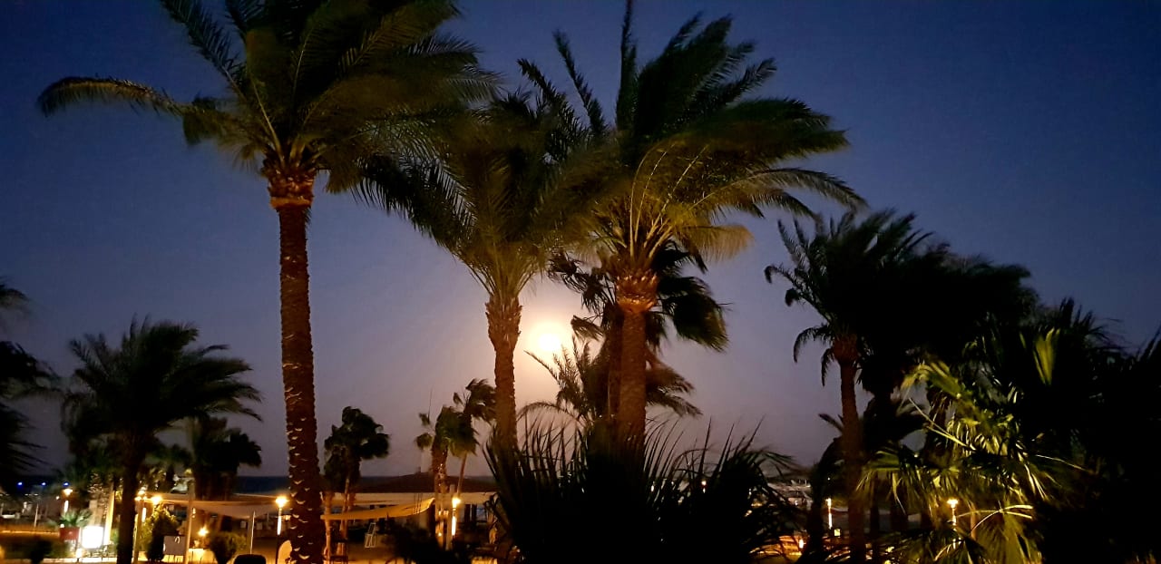 Ausblick Amarina Abu Soma Resort & Aquapark
