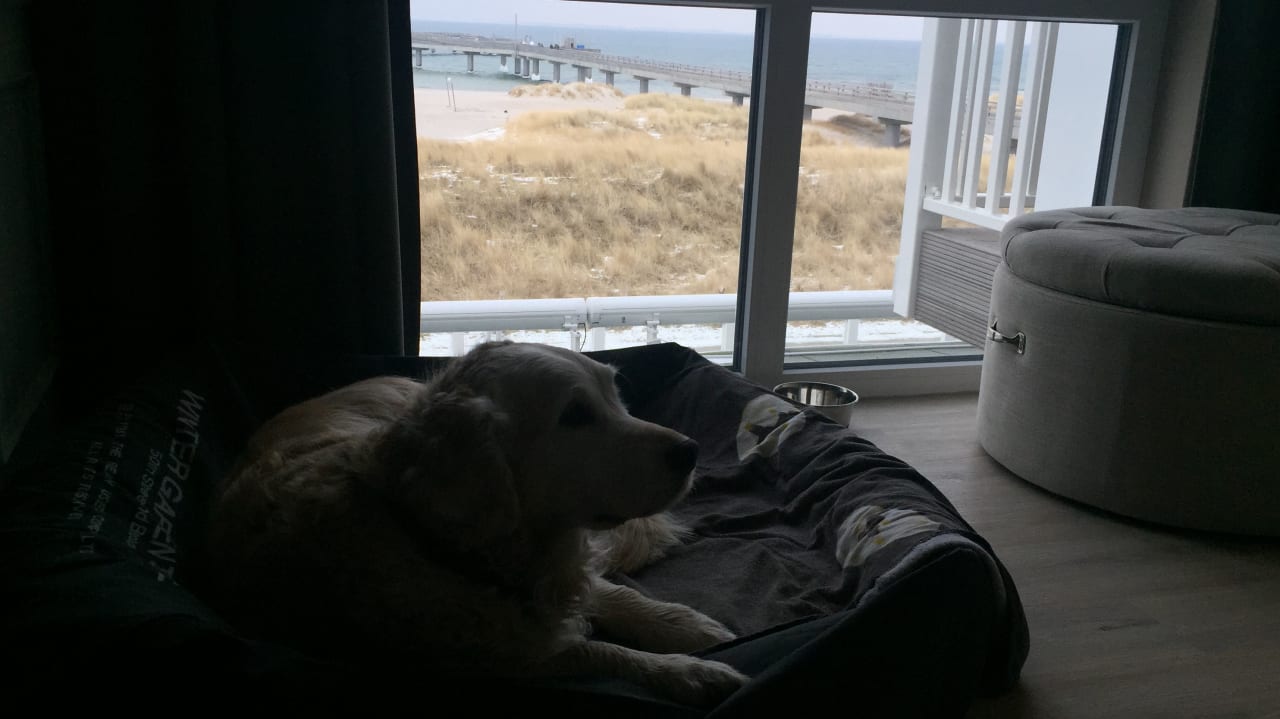 Zimmer Beach Motel Heiligenhafen