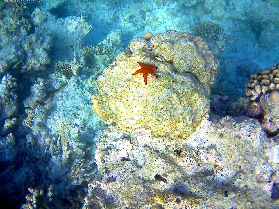 Sport & Freizeit Eri Maldives