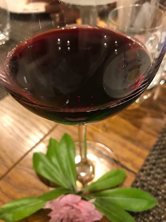 Gastro Acanthus Cennet Barut Collection