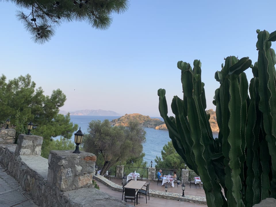 Gastro TUI BLUE Seno - Adults Only