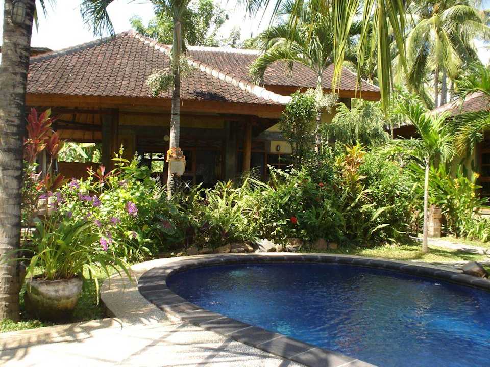 Saraswati - Lovina Beach Saraswati Holiday House