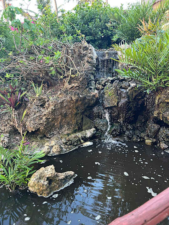 Gartenanlage Bahari Beach Hotel