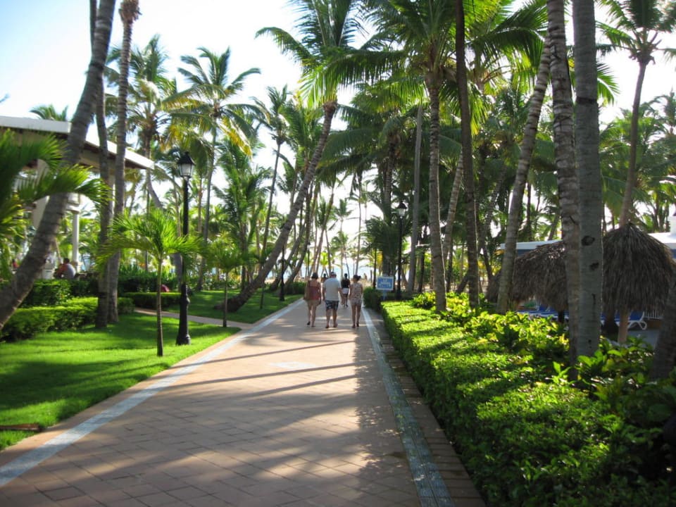 Weg von der Lobby zum Strand Hotel Riu Bambu