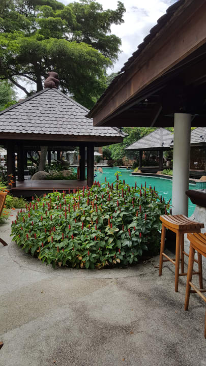 Pool Woodlands Hotel & Resort