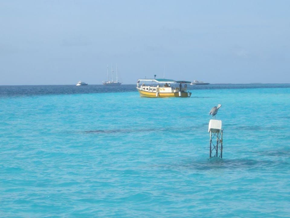 Dümpeln Summer Island Maldives