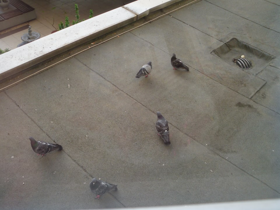 Ausblick Hotel Bosnia Sarajevo