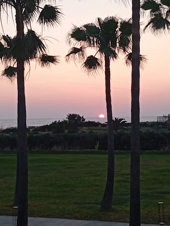 Gartenanlage Delfina Tropic Beach