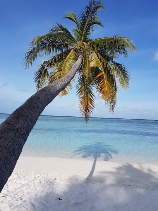 Strand Meeru Maldives Resort Island