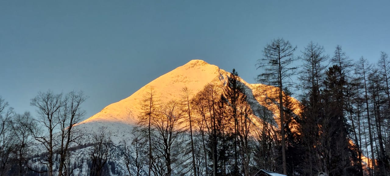 Außenansicht Bergidyll & Hotel Trofana