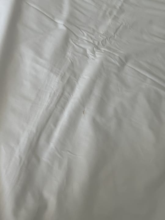 Zimmer Sherwood Exclusive Lara