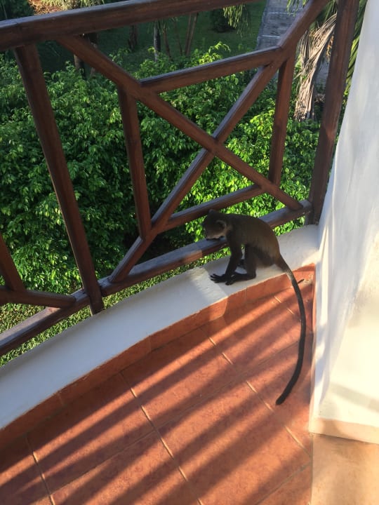 Zimmer Neptune Village Beach Resort & Spa