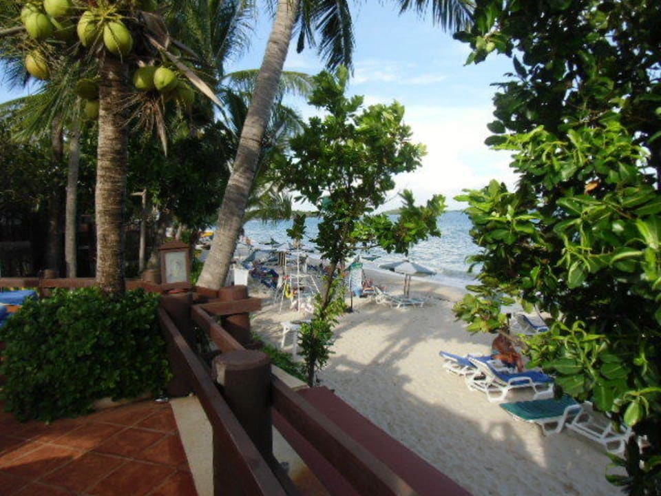 Blick vom Pool an den Strand Banana Fan Sea Resort