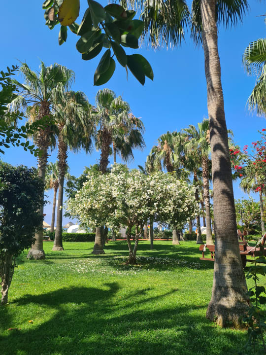 Gartenanlage Saphir Resort & Spa