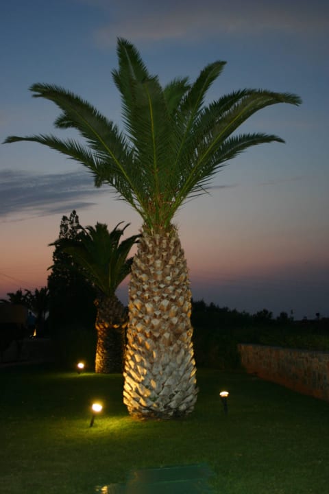 Palme by night Grand Hotel Holiday Resort