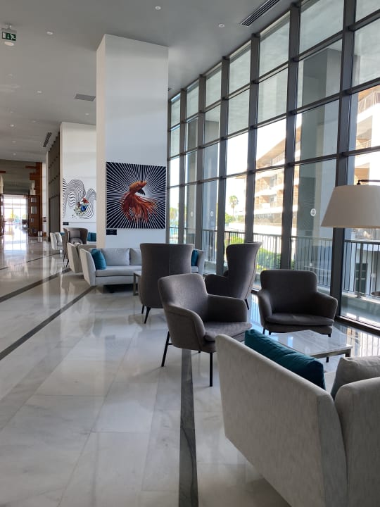 Lobby Acanthus Cennet Barut Collection