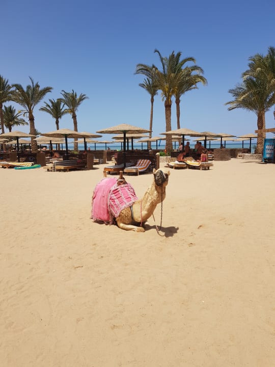 Strand Golden Beach Resort