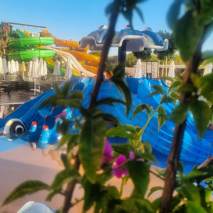 Pool Calimera Hane Garden
