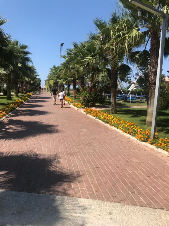 Außenansicht TUI MAGIC LIFE Jacaranda