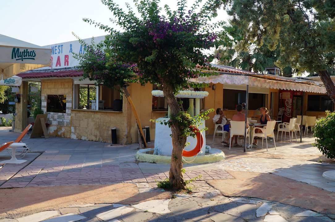 Bar, Rezeption Nest Apartments