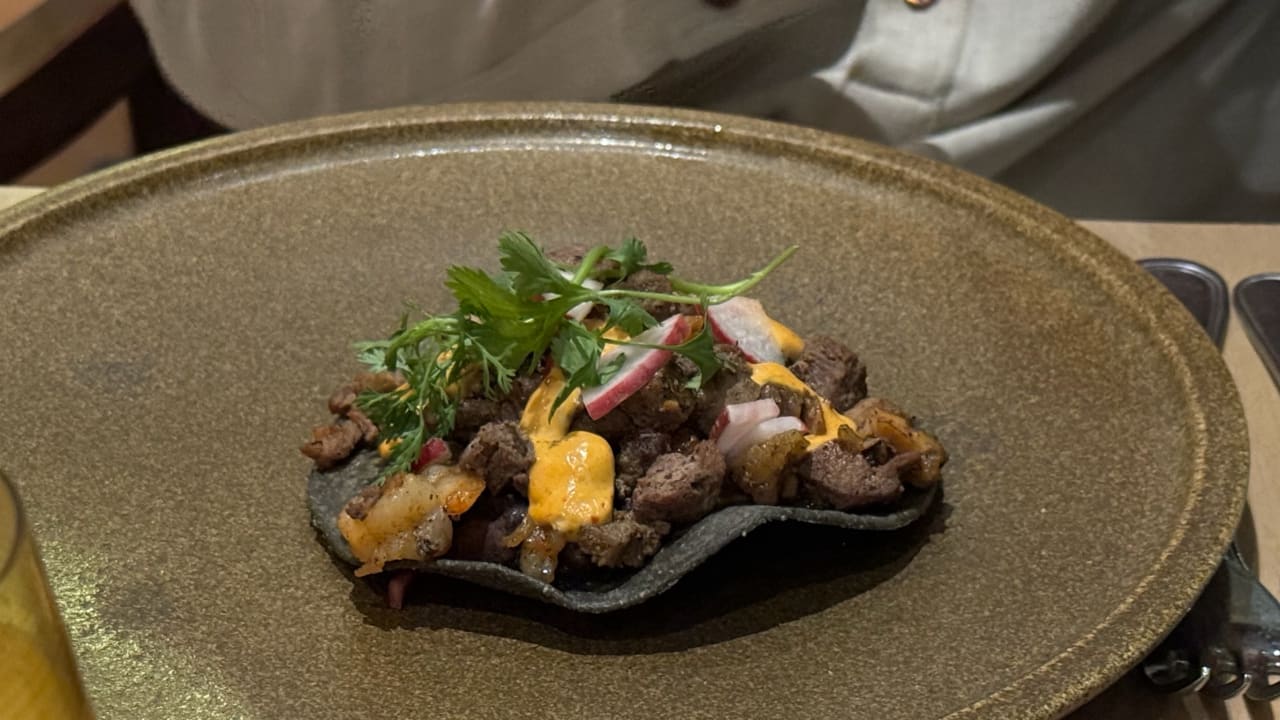 Gastro Hyatt Vivid Playa del Carmen - Adults only