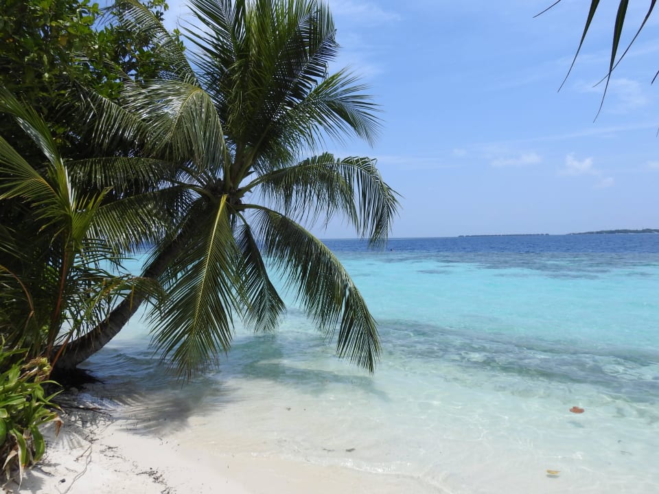 Strand Vilamendhoo Island Resort & Spa